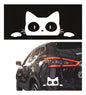 Calcomania Gato Asomandose Sticker Universal Decorativo Auto