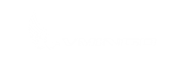 Vmingo
